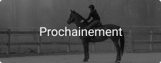 prochainement Selection Proshop Equitation